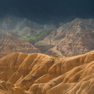 Life in the mountain desert.