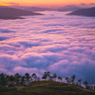 Life Above the Clouds